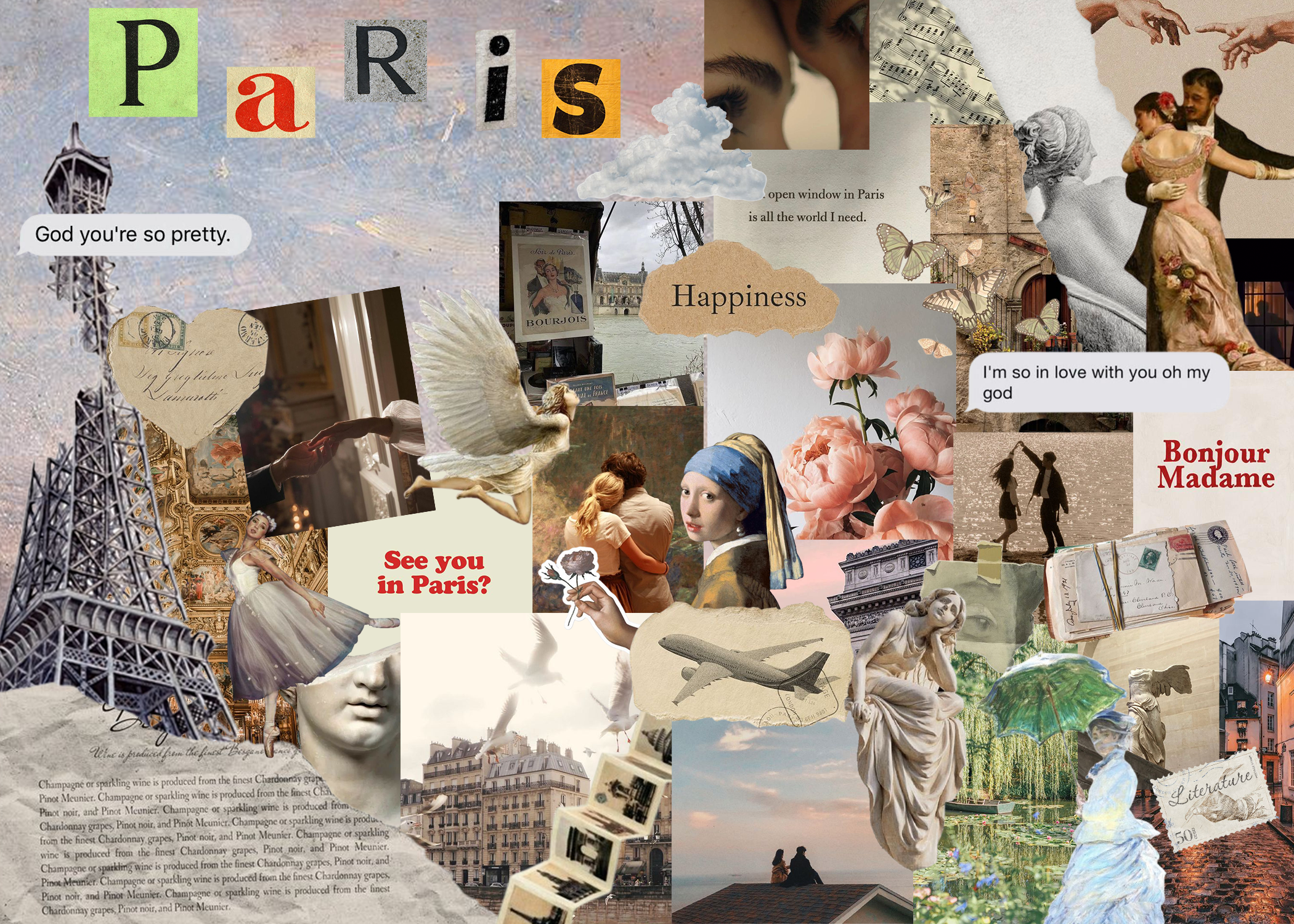 collage 2 (paris).png