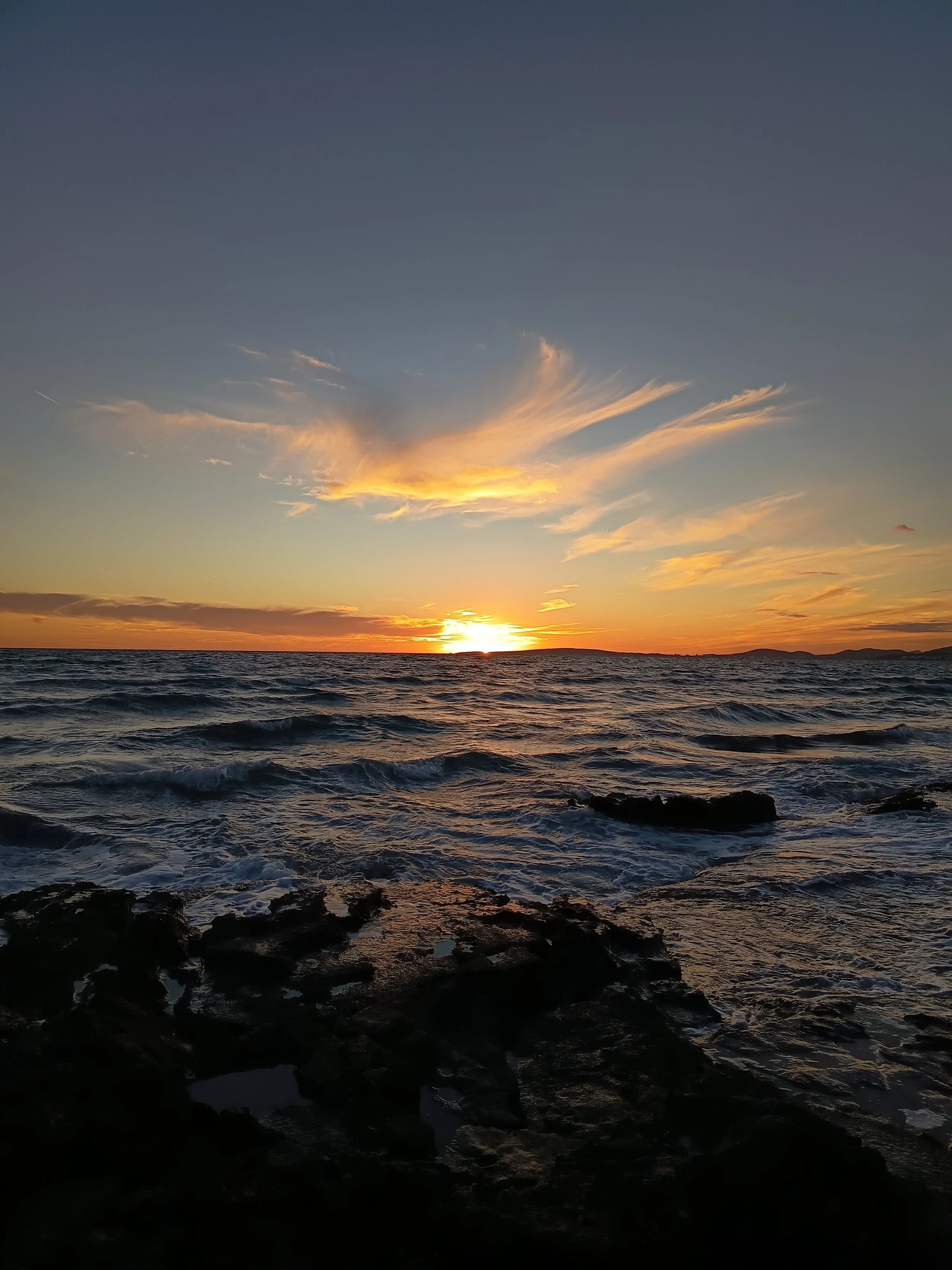 PROGRAMAS ALTA SENSIBILIDAD