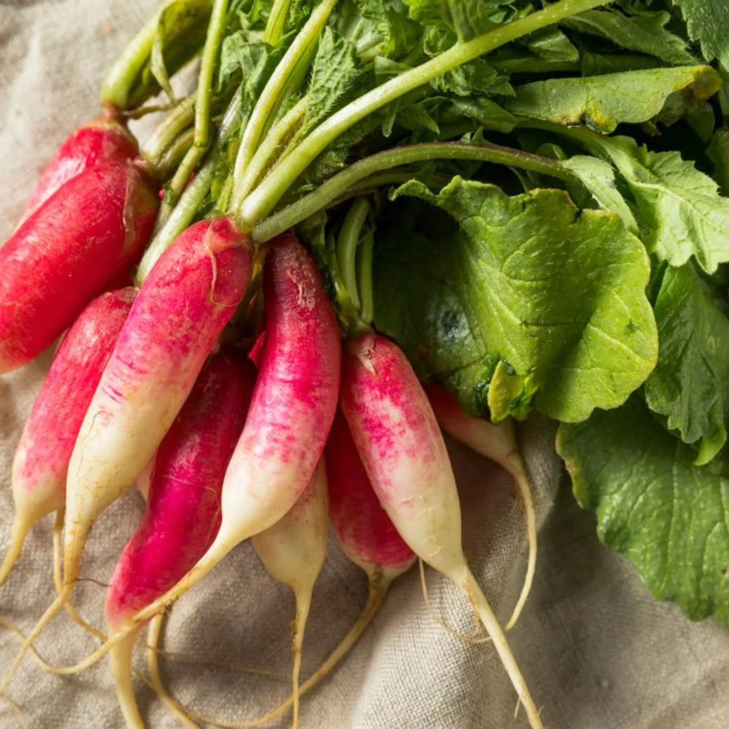 Why Preservatives Are Important
I was just on the website of a local small business, where they boasted loudly about not using preservatives. I'll be completely honest with you, there are natural and safe preservatives out there. If I see someone say