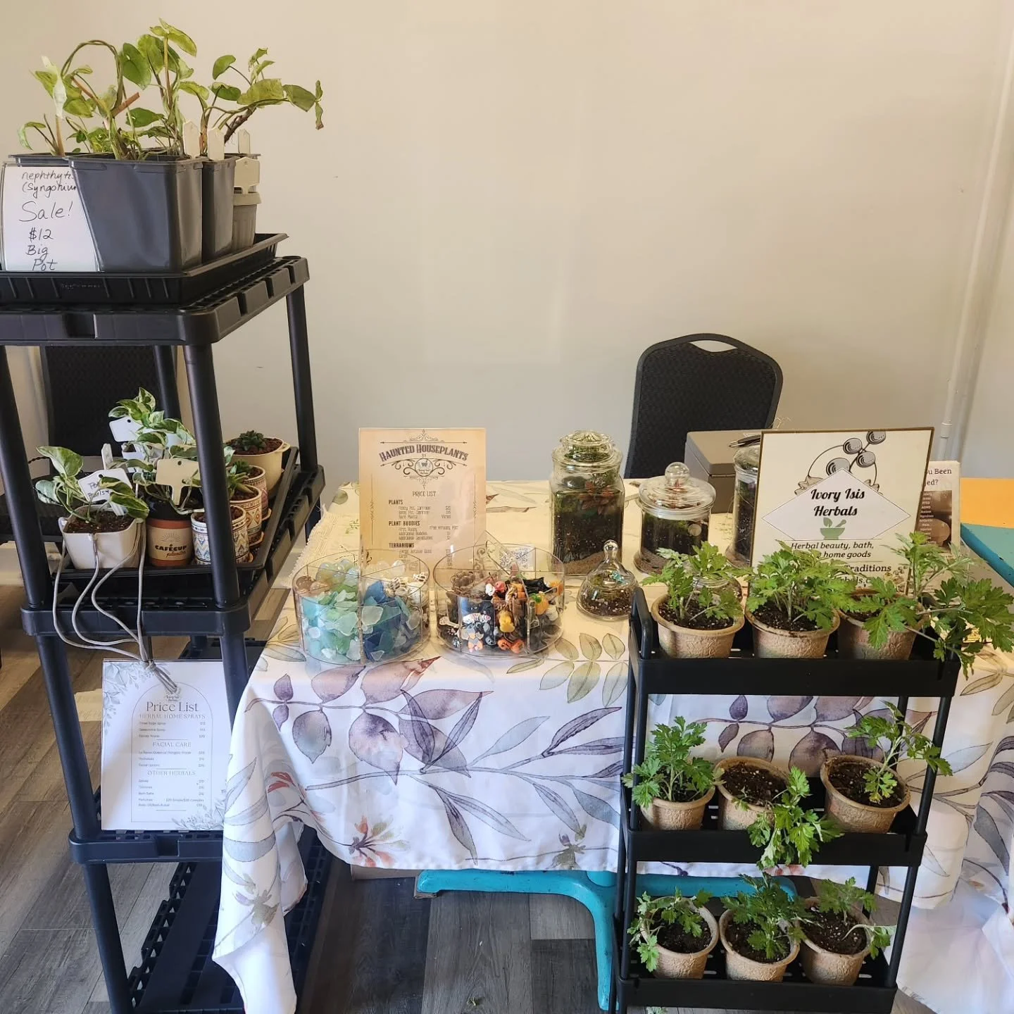 All set up next door to Harvest Moon Botanica @hmbotanica come check everything out!!