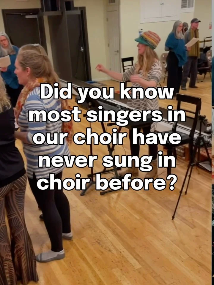 Feel like a beginner? You&rsquo;re in the right place!

We are an ALL VOICES choir bc we believe all humans can sing and should experience the magic of harmony ✨

Get everything you need to feel confident in choir:

✨video training series to help you