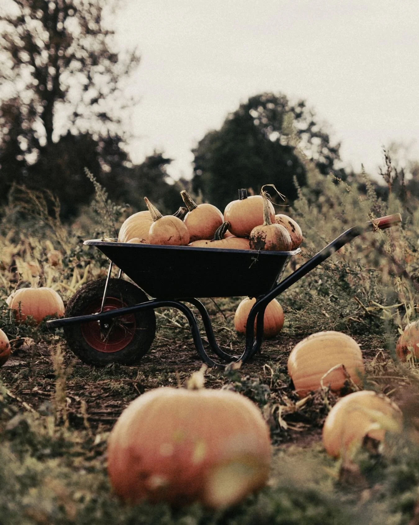 It’s October, spooky season is here! π
But your finances shouldn’t be the thing giving you a fright π»
If managing your business finances feels overwhelming, the right support can make all the difference.
Send us a message - we’l
