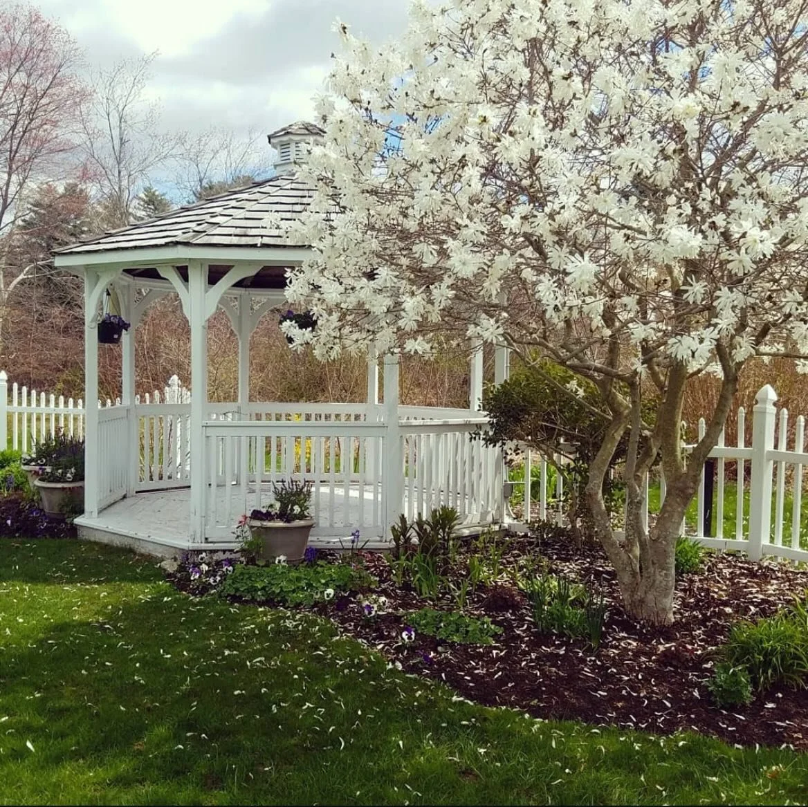 Blooming just in time for &ldquo;I DO&rdquo; season🤍