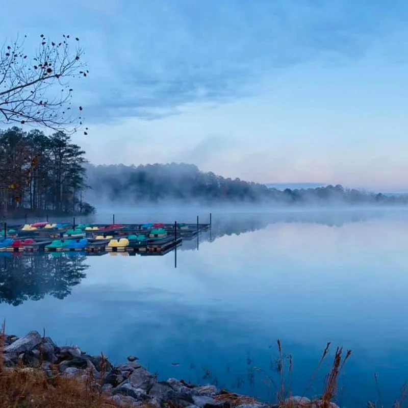 gallery_Lori-Lyons-OMSP-lakeside-dawn.jpg