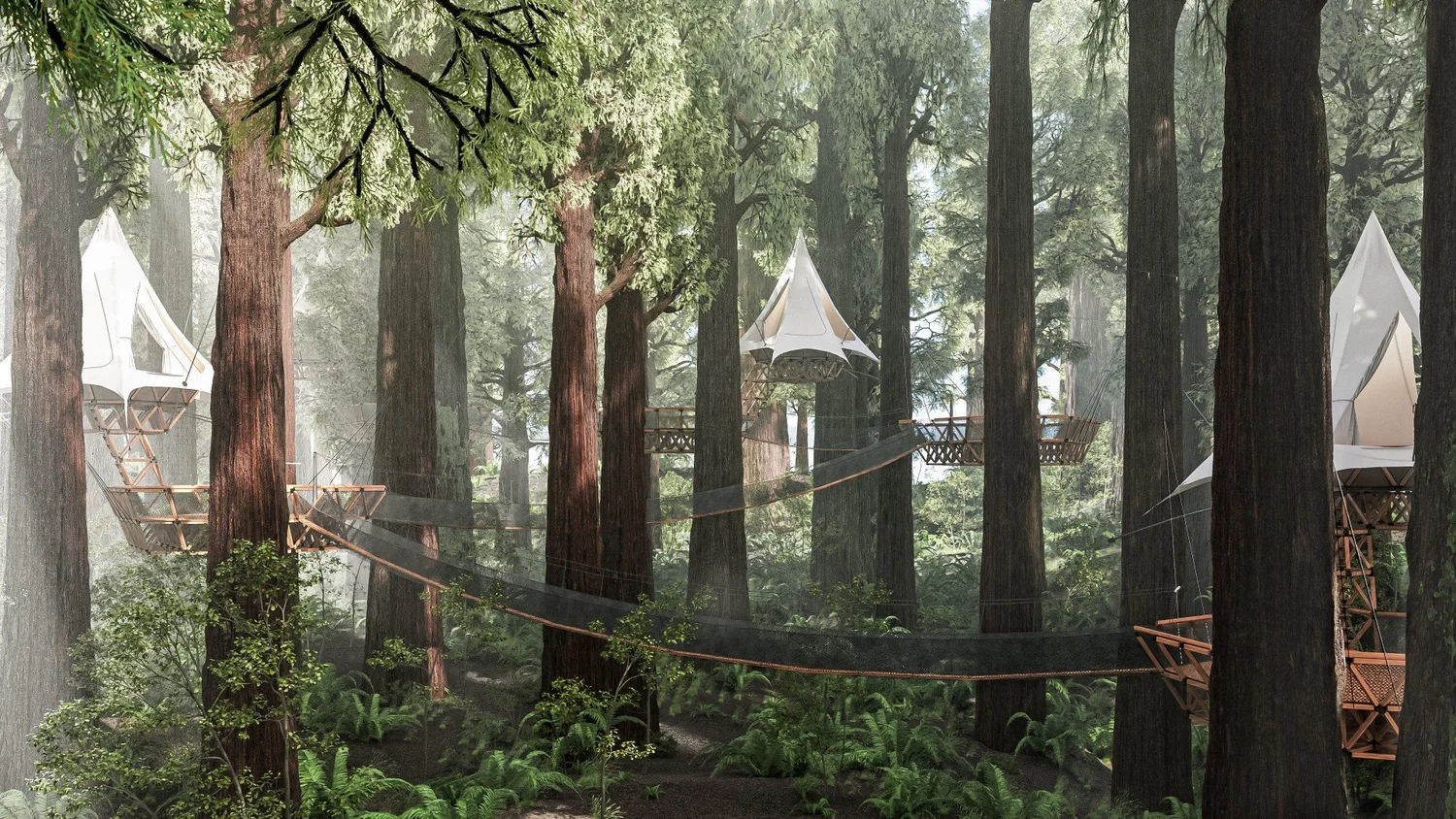 Invest — O2 Treehouse