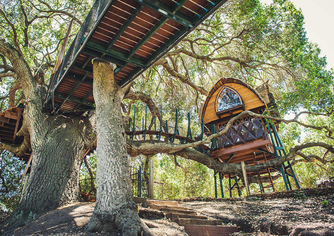 Palo_Alto - 52resized.png