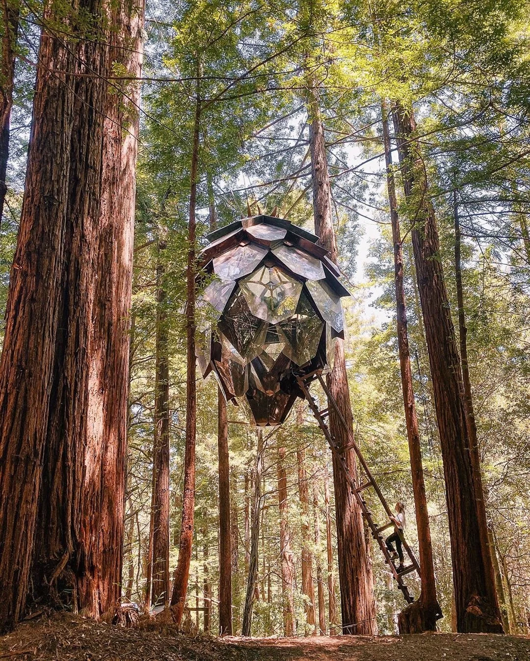 @everchanginghorizon @michelle.lawrencee.JPG