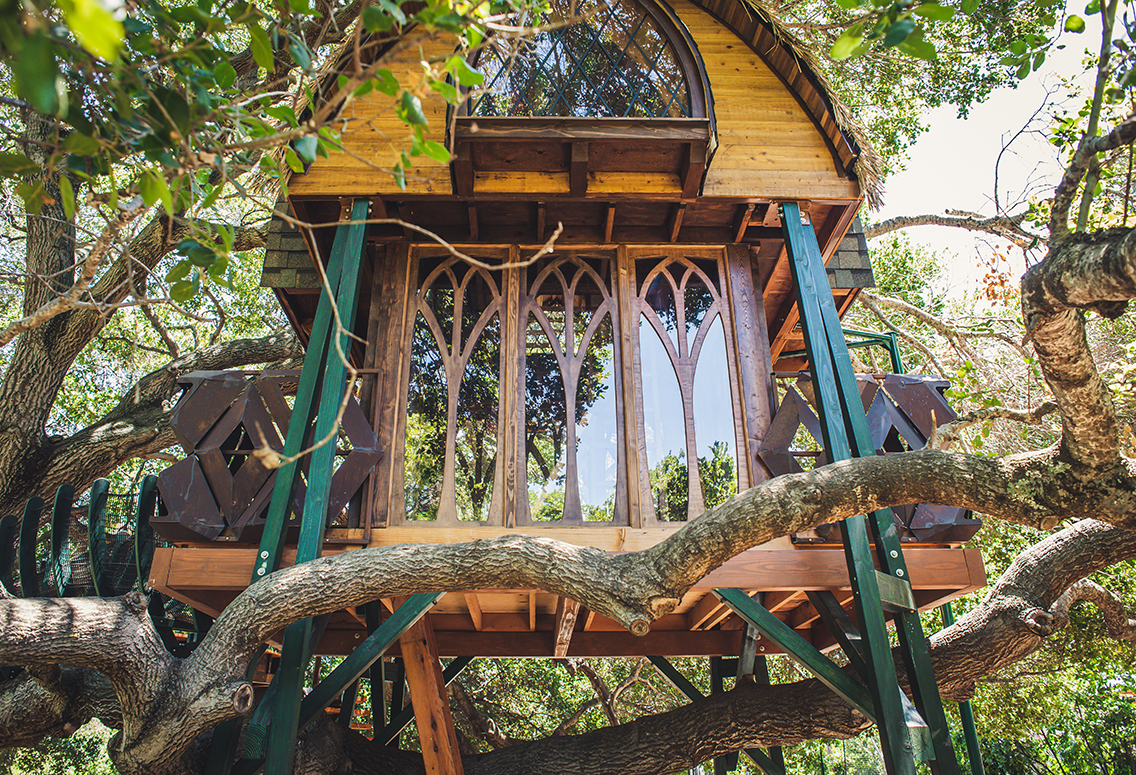 Palo_Alto - 47resized.png