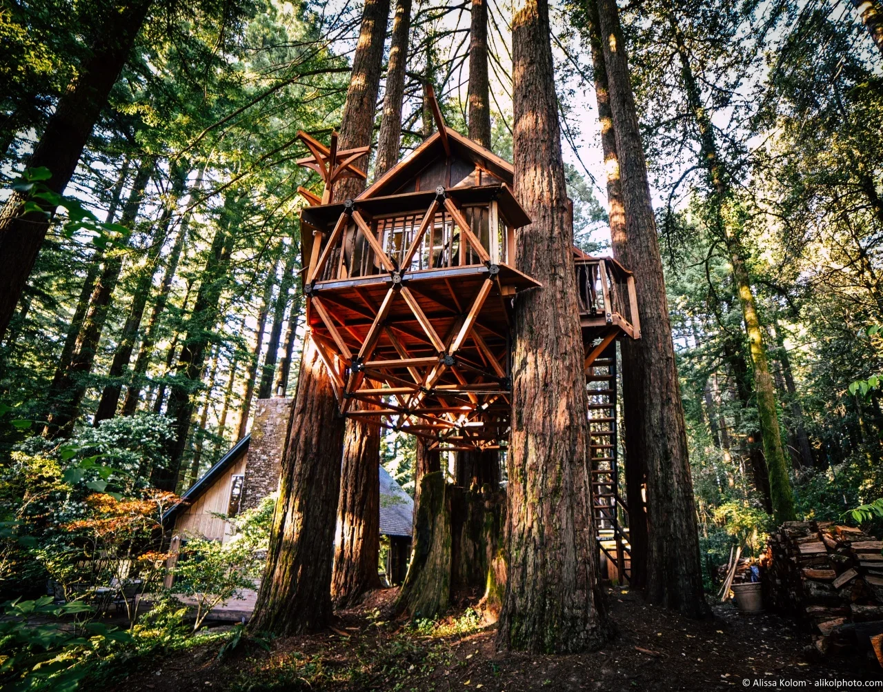 Banana Slug Equilibrium Home