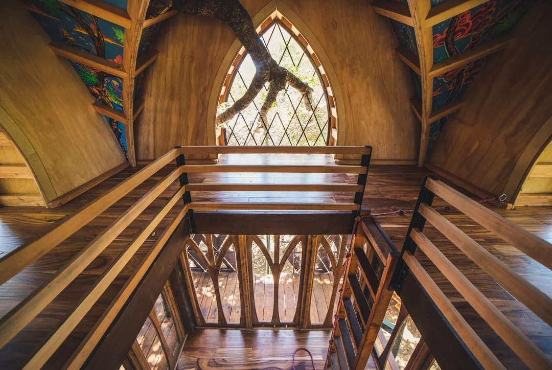 Palo_Alto - 22-resized.jpg