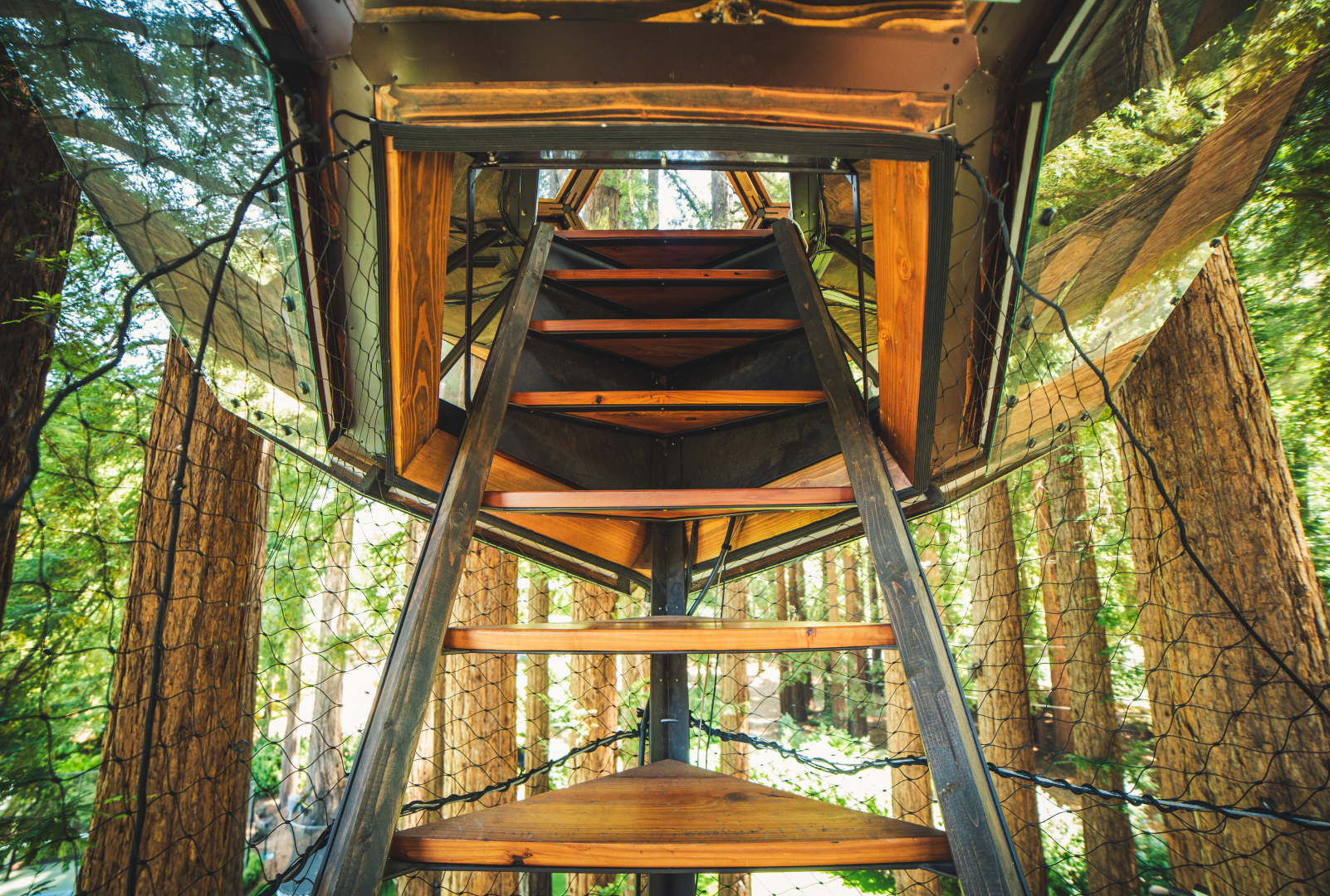 Redwood Treehouse California