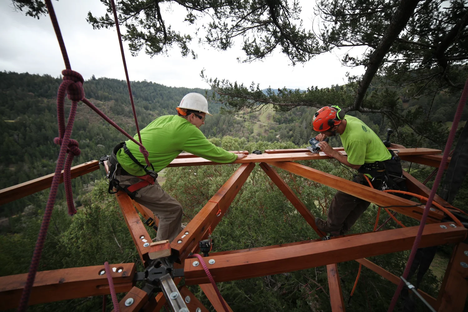 Careers — O2 Treehouse
