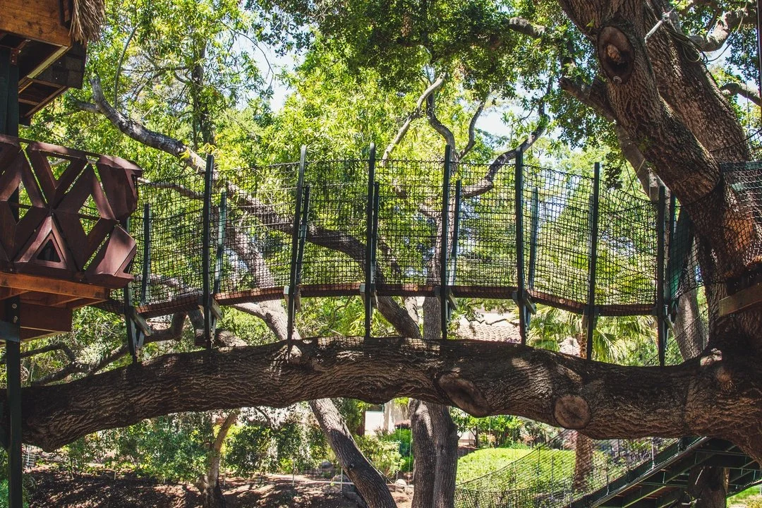 Palo_Alto - 32-resized.jpg