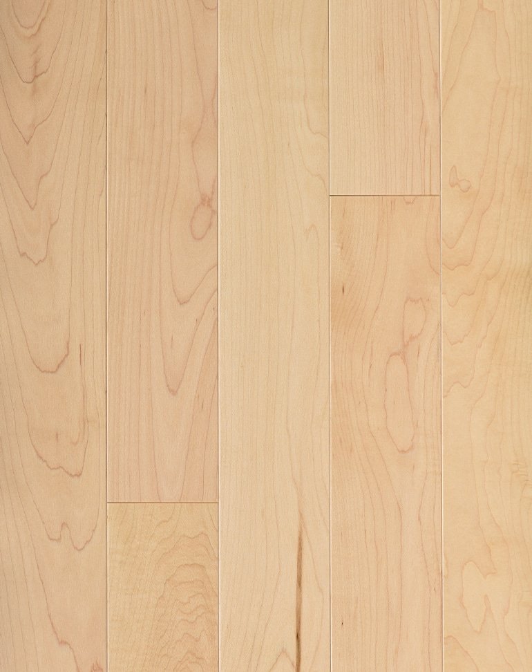 Maple - Natural