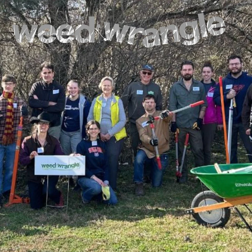 Wrangle Weeds this Weekend