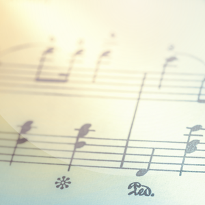 Chamber Singers &amp; Friends in Concert