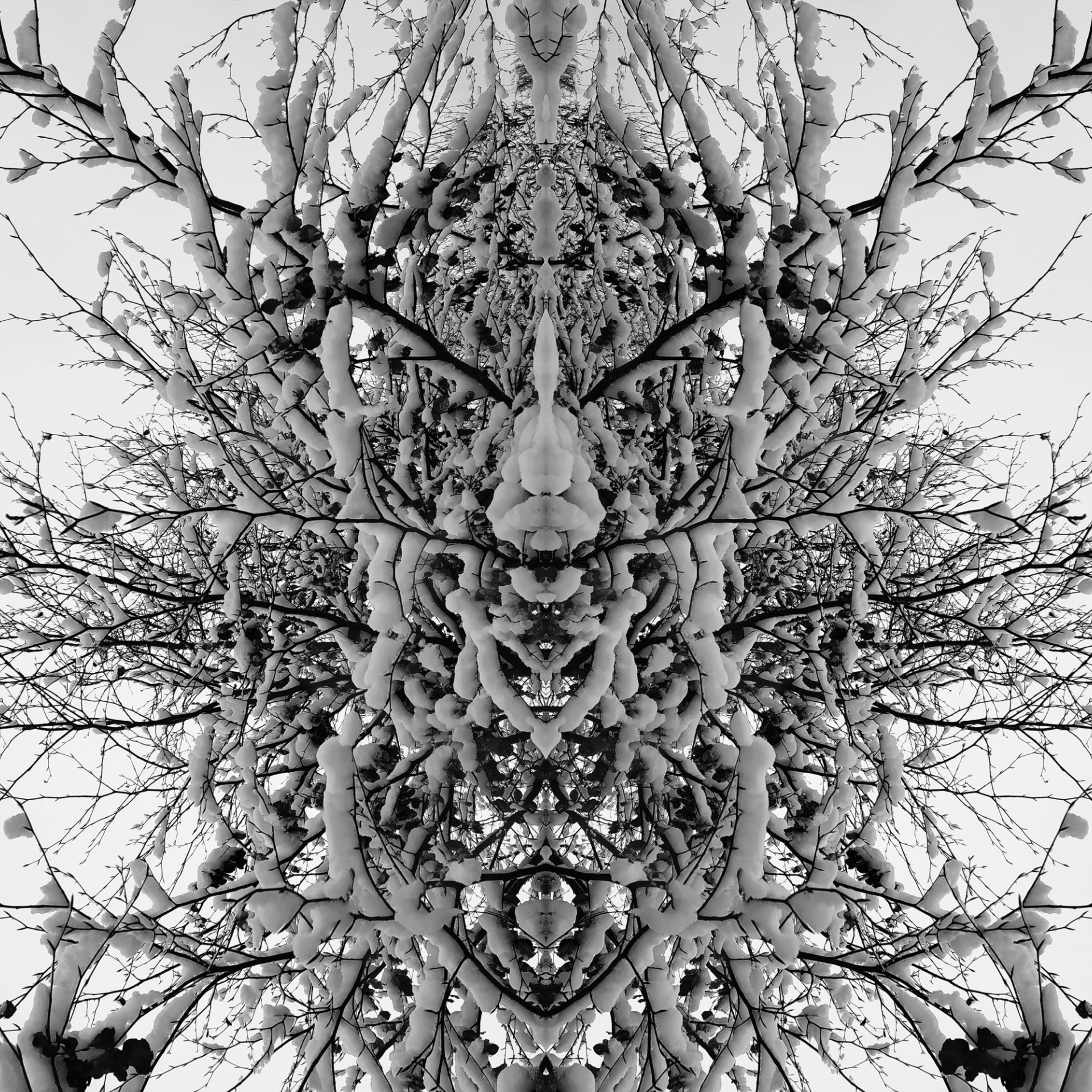 inCollage_20210103_174144084.jpg