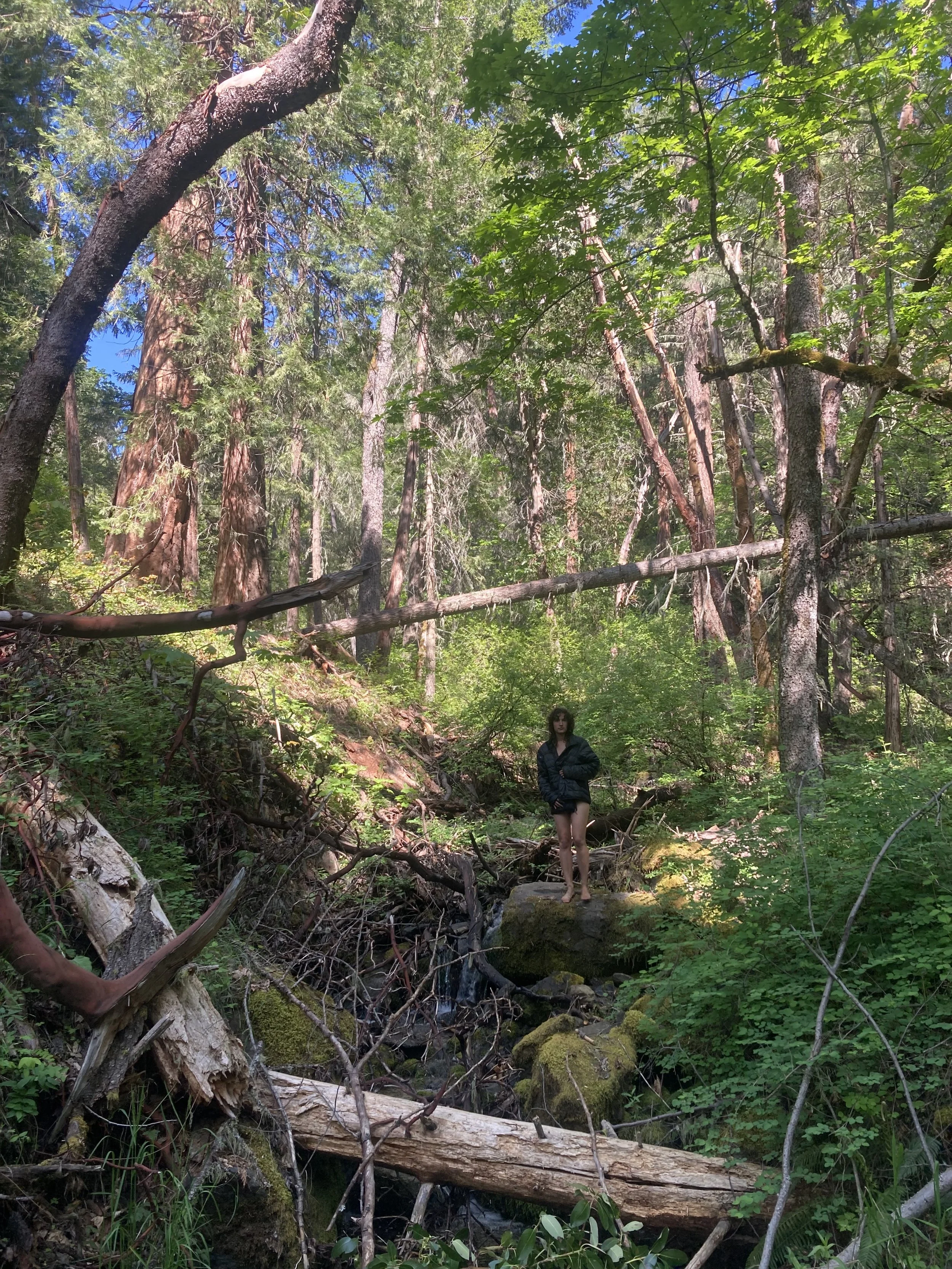A woman with dark hair, wearing a black jacket and shorts, standing barefoot on a moss-covered rock in a dense forest near a small stream. Tall trees and green foliage surround her, and sunlight filters through the canopy.