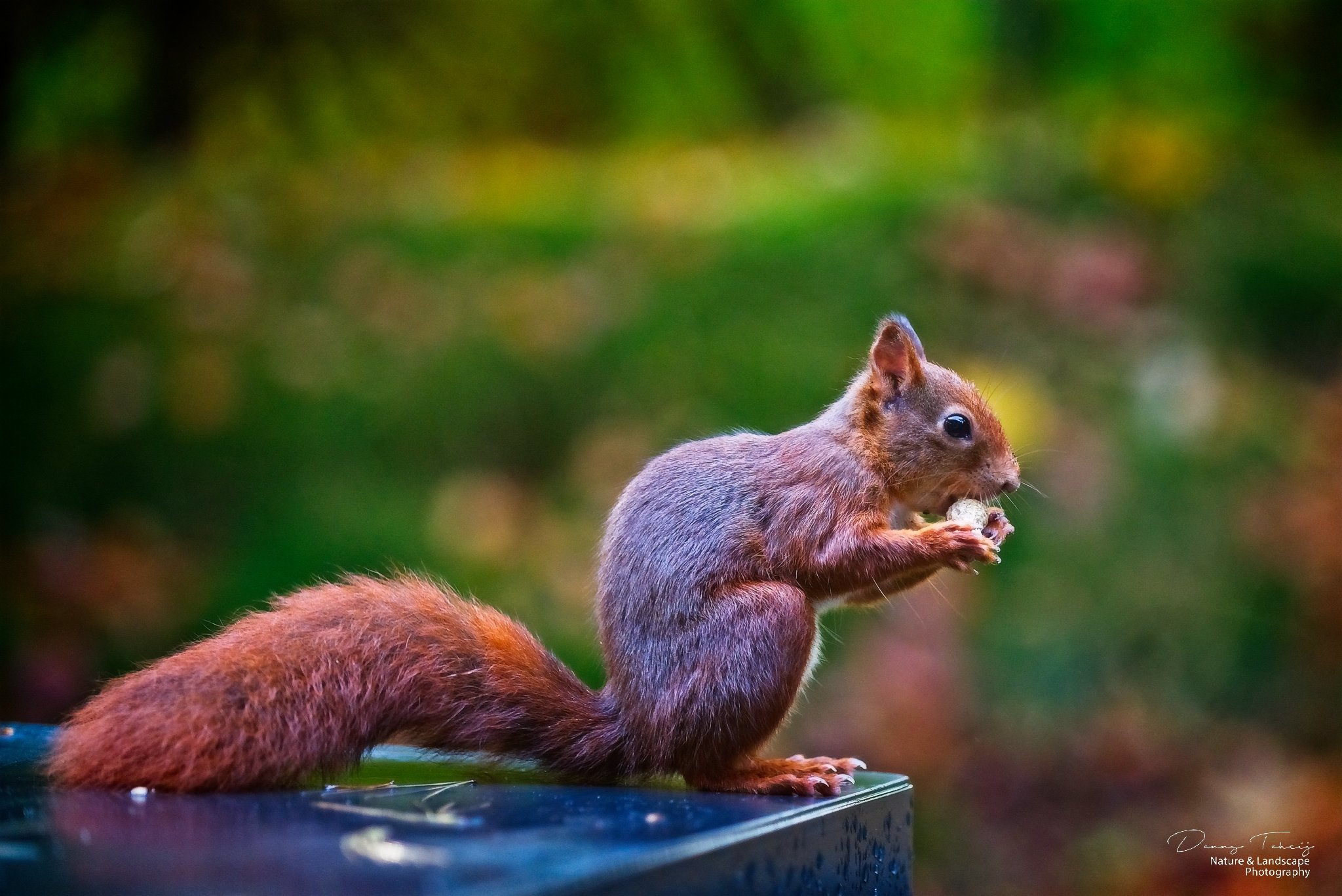 _TYF9596_TYF9596 copy 2.jpg