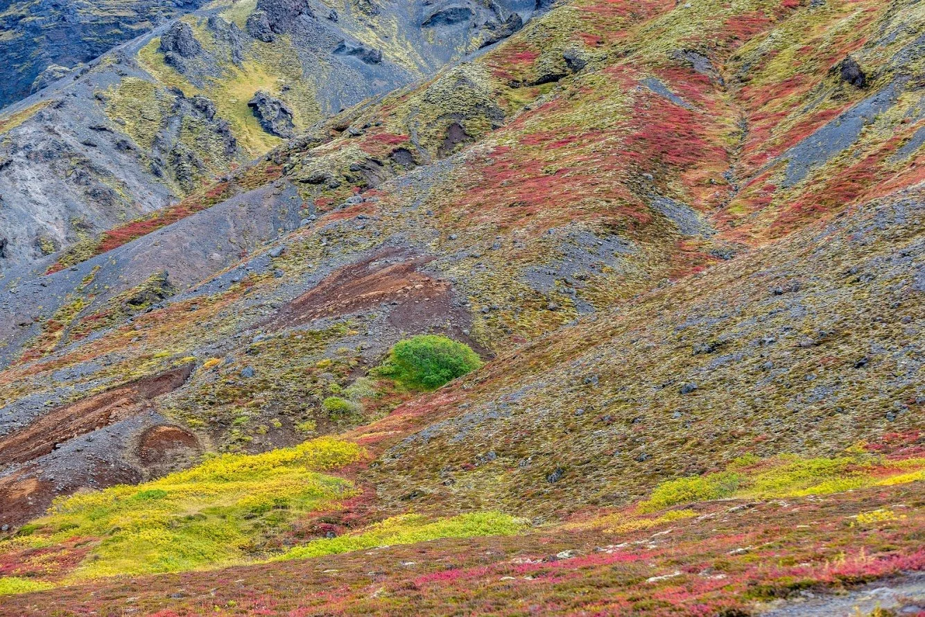 Ijsland Danny-18.jpeg