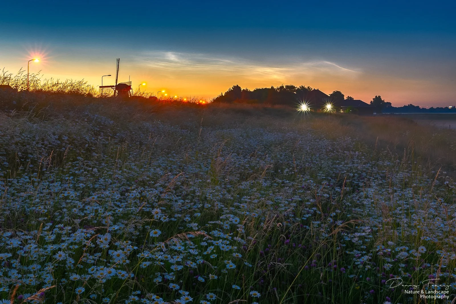 _Z6T2100-bewerkt nieuw2.jpg