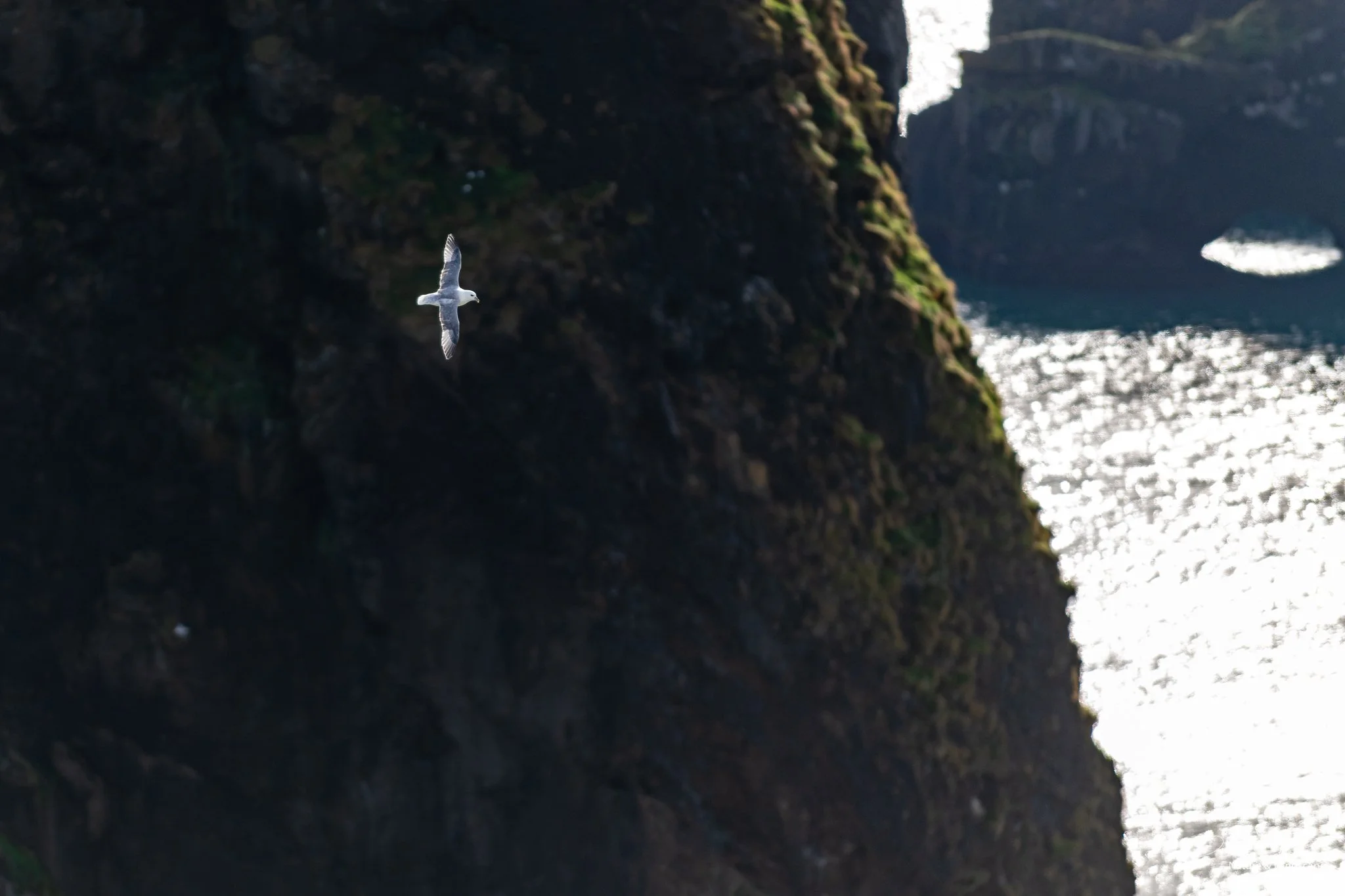 Ijsland Danny-48.jpg