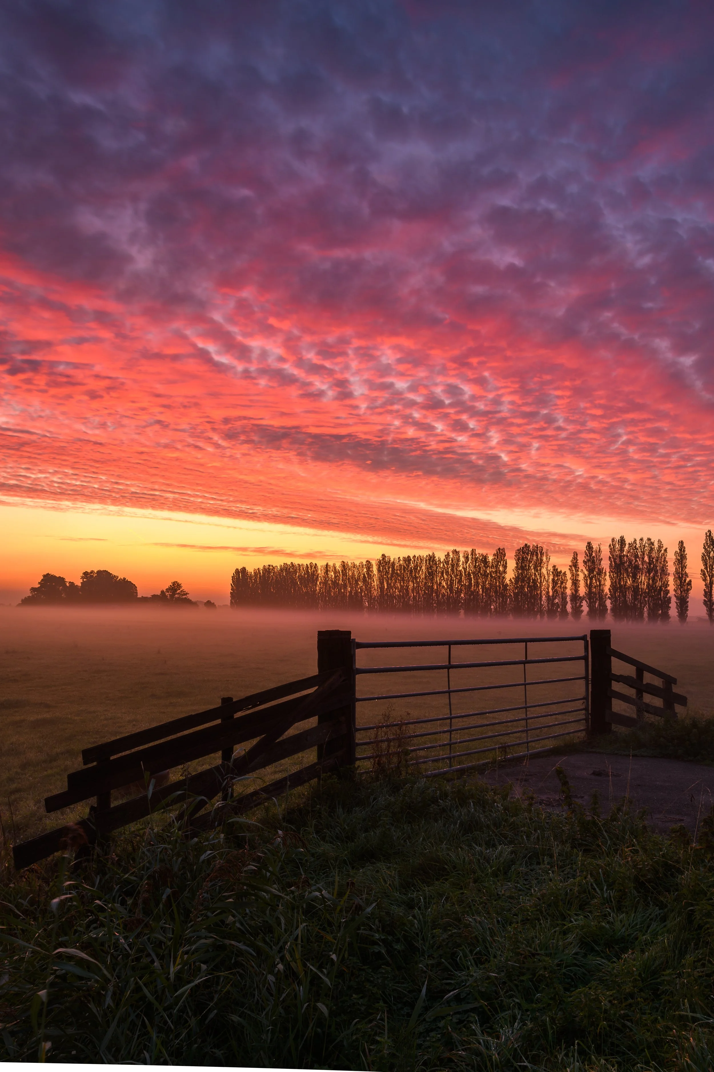 Midden Delfland sunrise-2.jpg