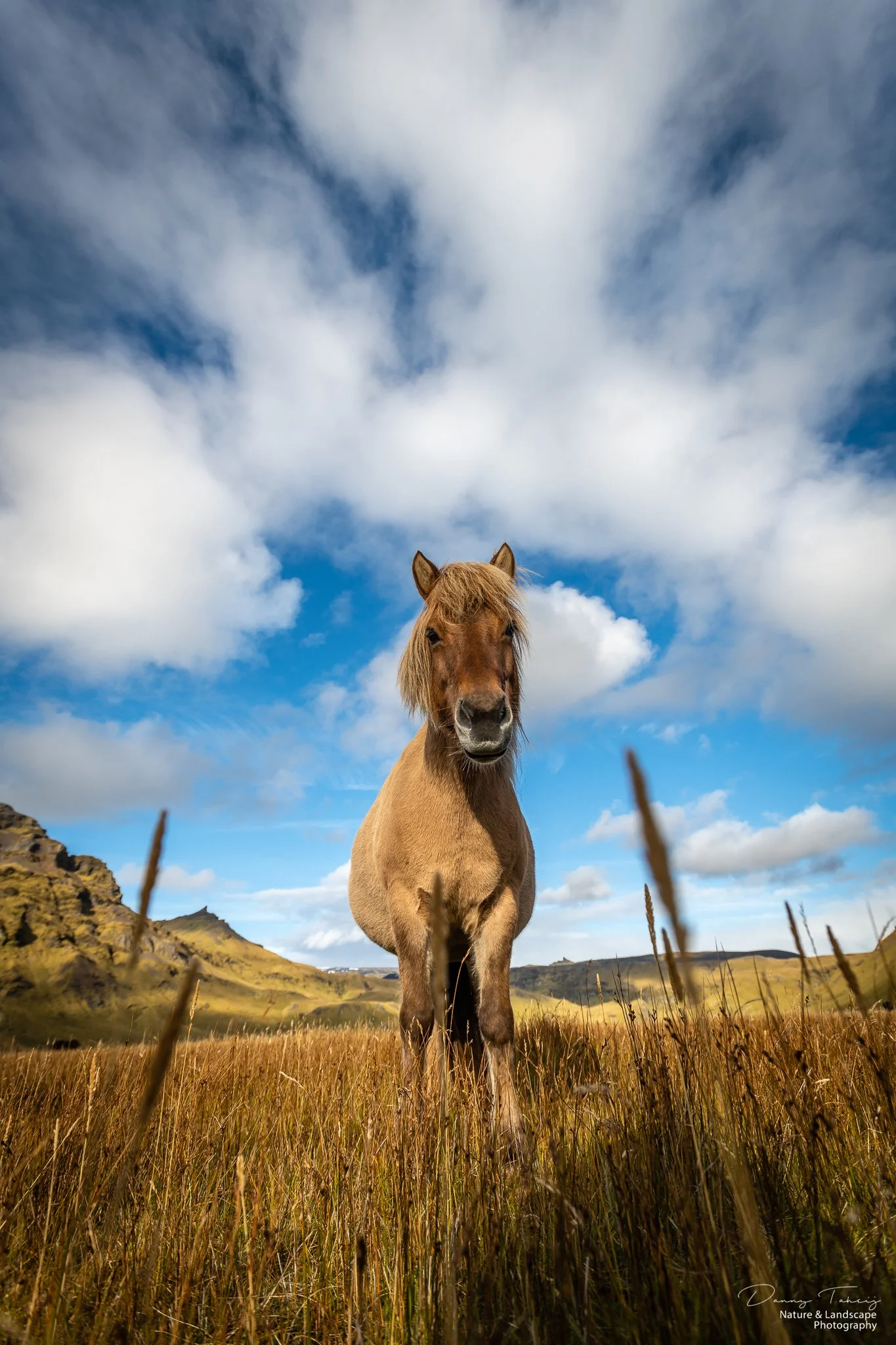 Ijsland Danny-40.jpg