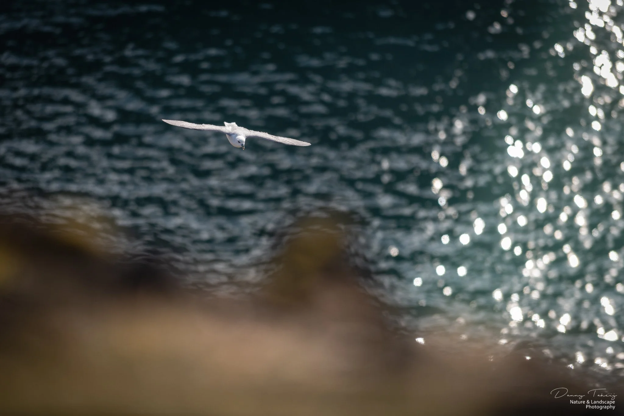 Ijsland Danny-49.jpg