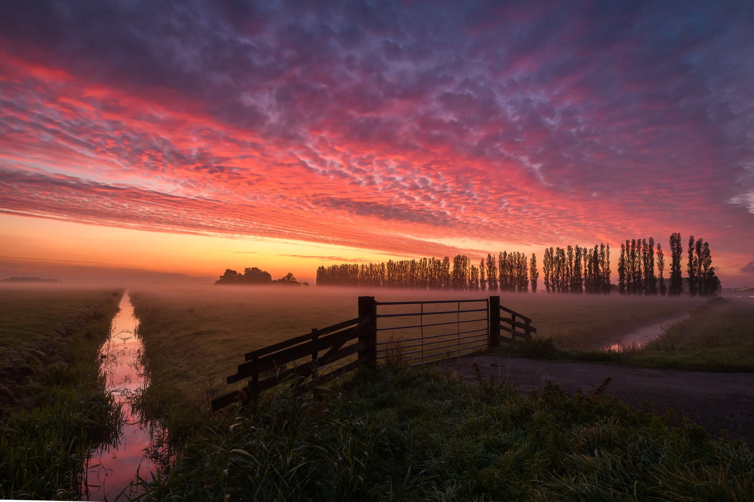 Midden Delfland sunrise-1.jpg
