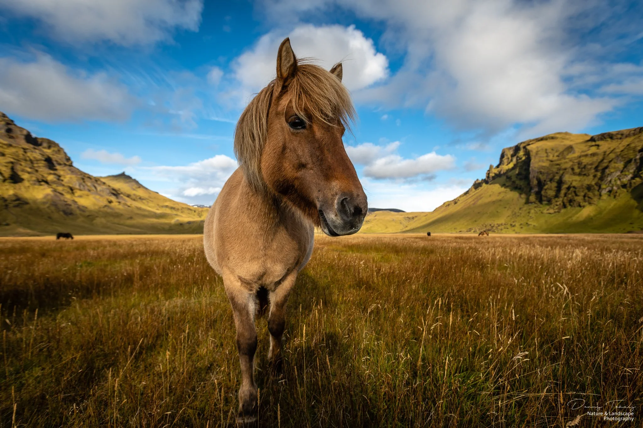 Ijsland Danny-41.jpg