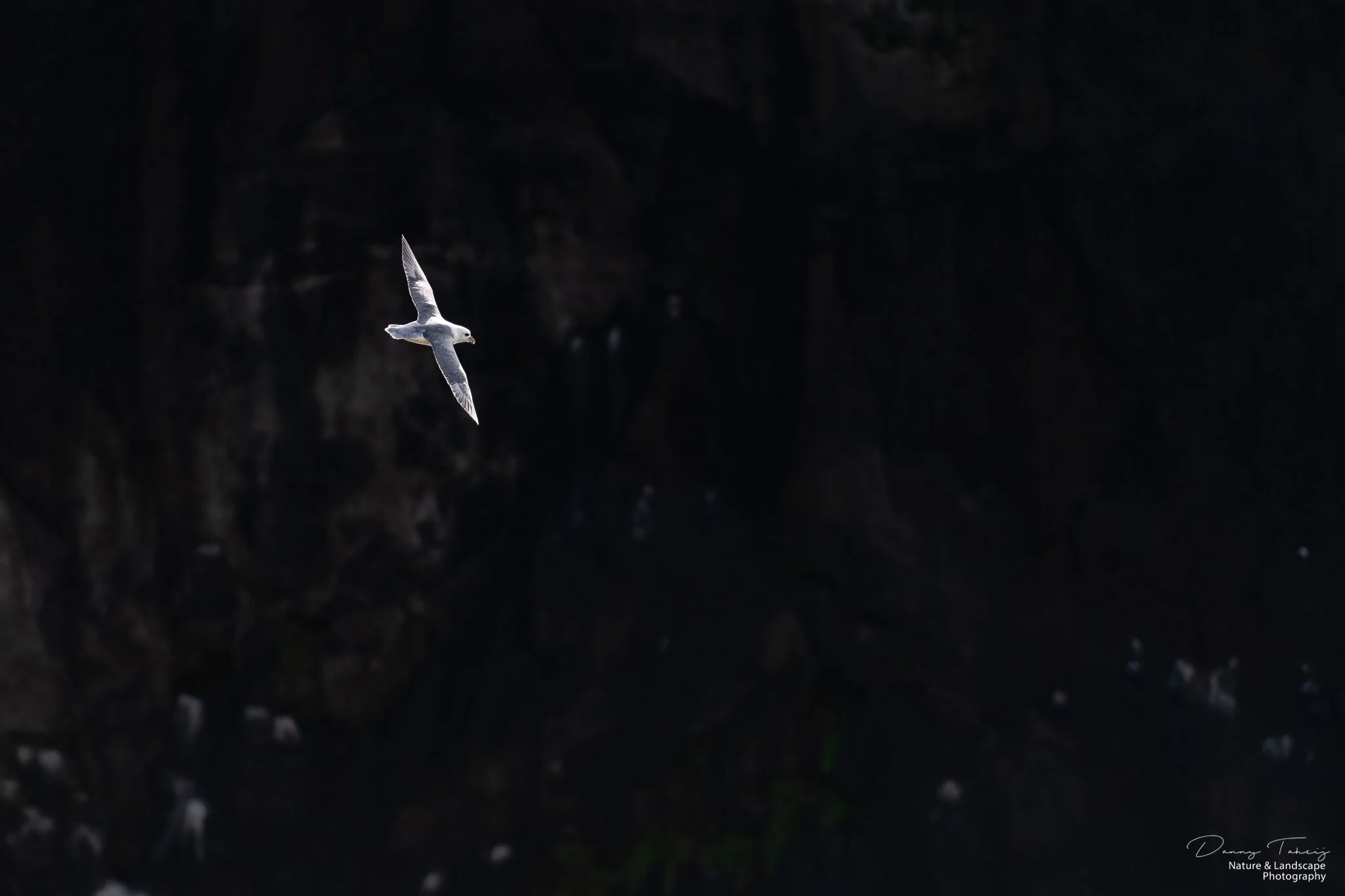 Ijsland Danny-47.jpg