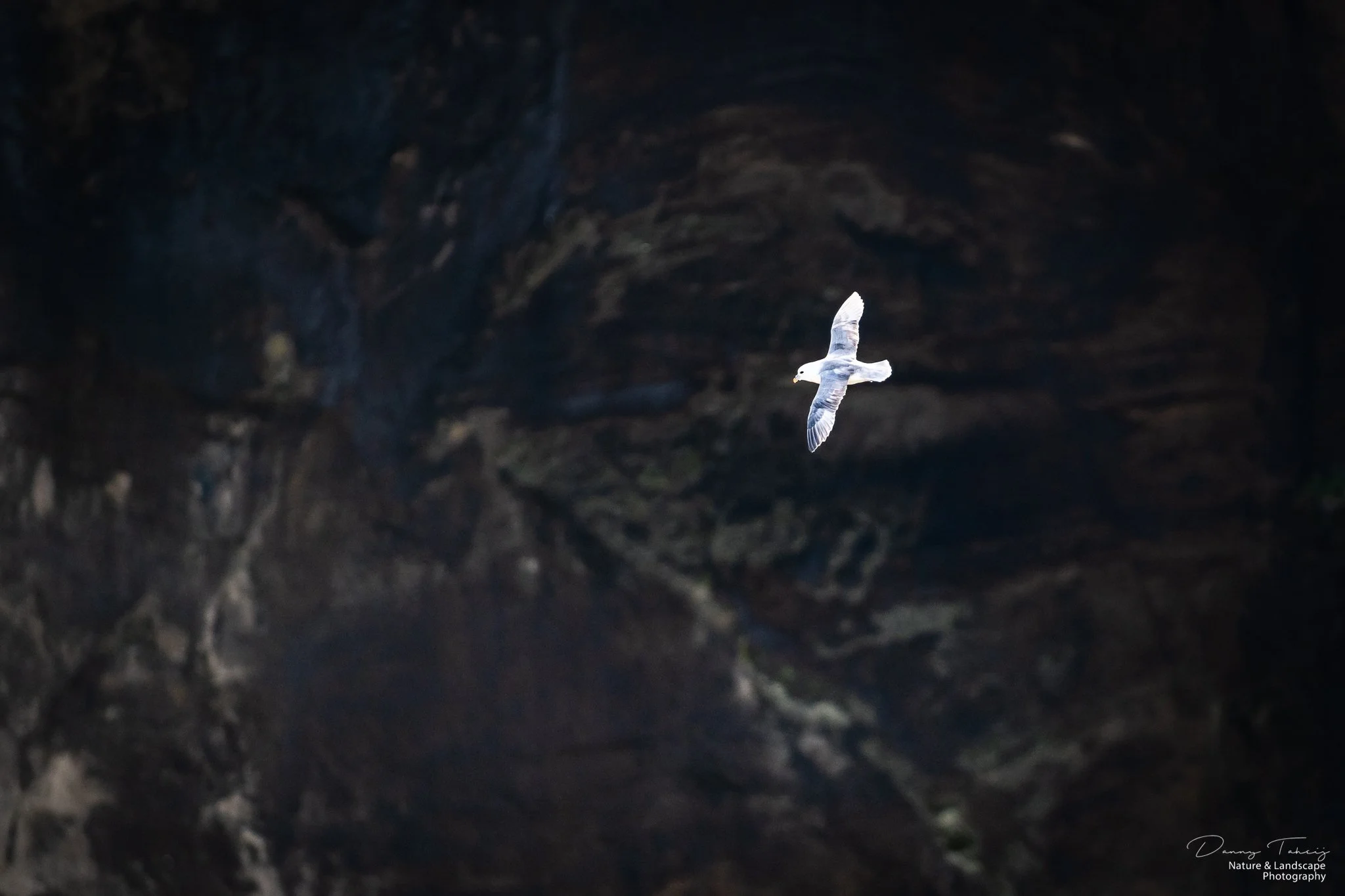 Ijsland Danny-50.jpg