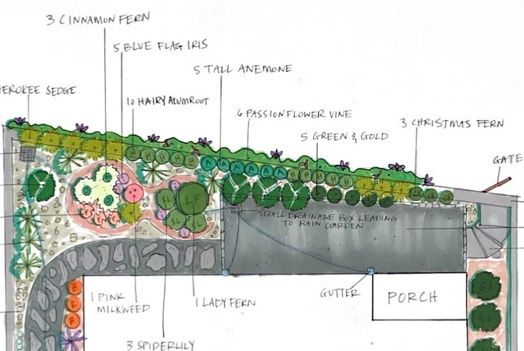 Looking forward to this install. Currently this narrow backyard is a mud pit because the builders led the gutters straight into the ground with no outlet. Created a solution of a swale patio leading to a rain garden with an area for pitcher plants an