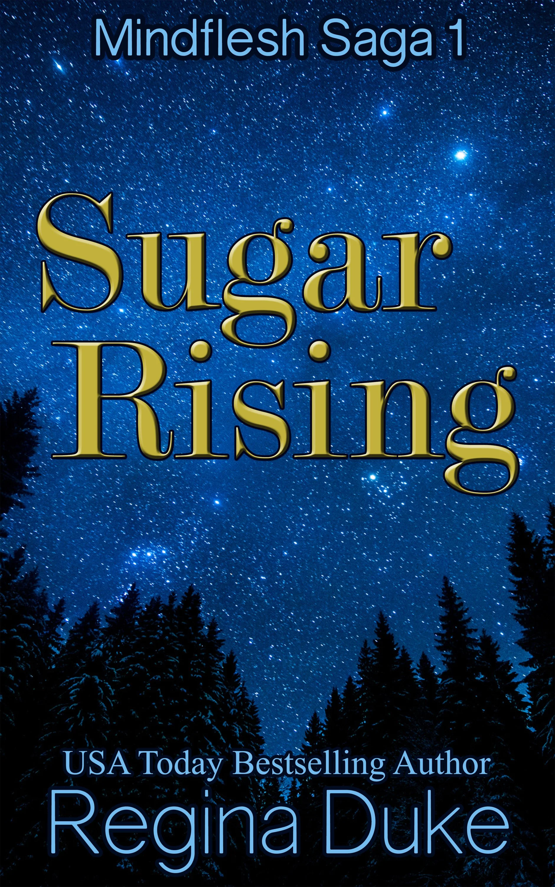 Sugar-Rising_cover-kindle.jpg