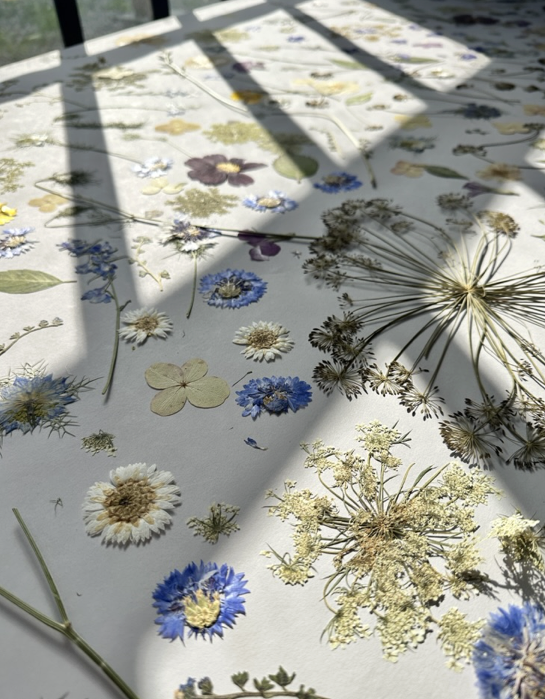 Screenshot 2026-04-08 at 7.52.12 AM.png