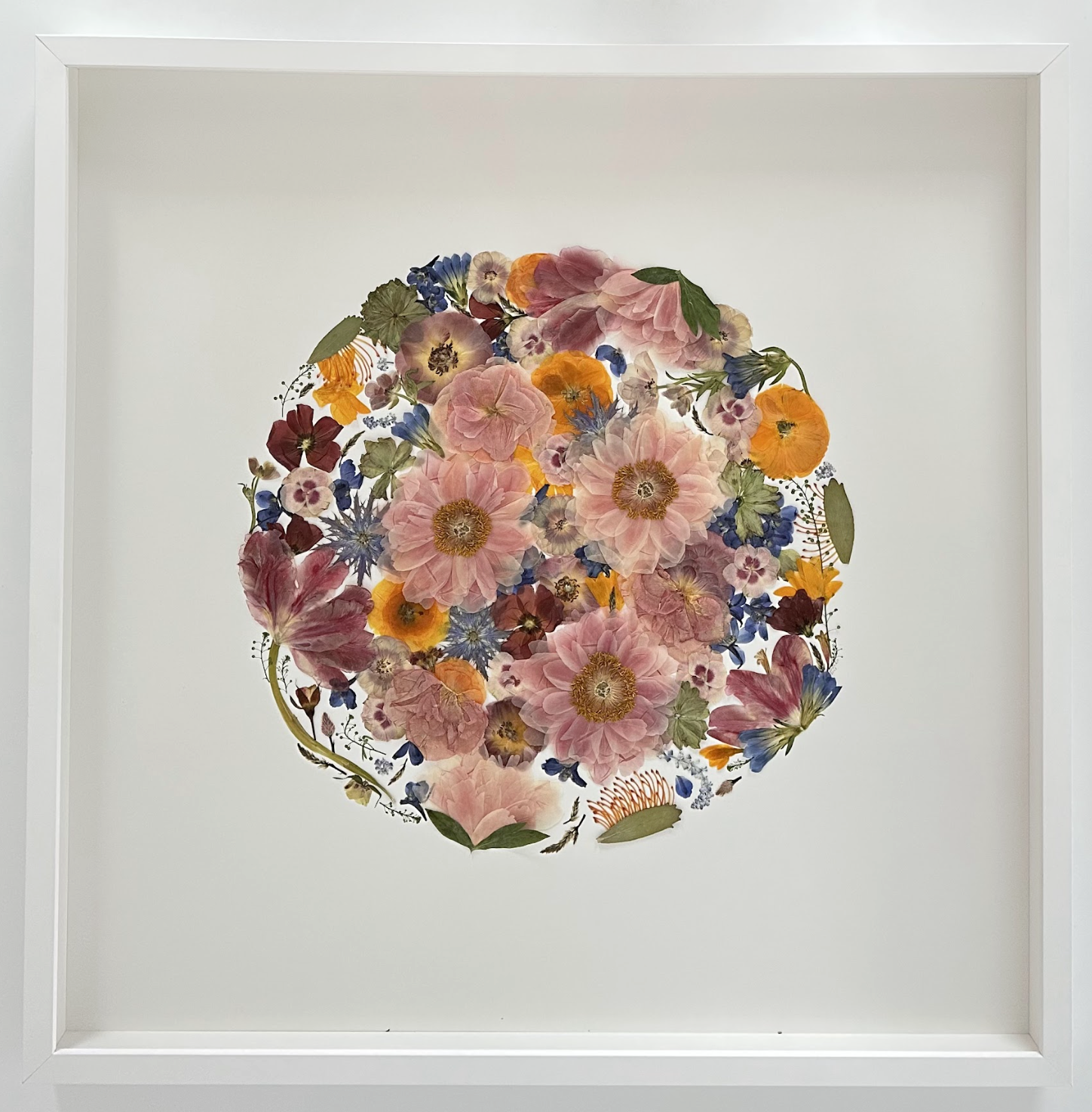 Screenshot 2026-04-08 at 7.51.41 AM.png