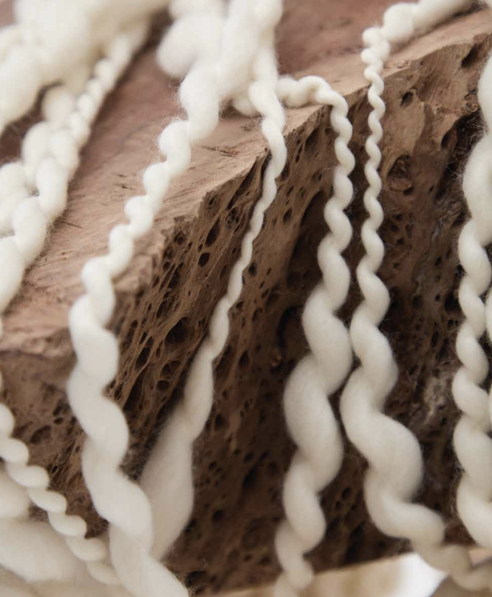 Screenshot 2026-02-10 at 8.12.58 PM.png