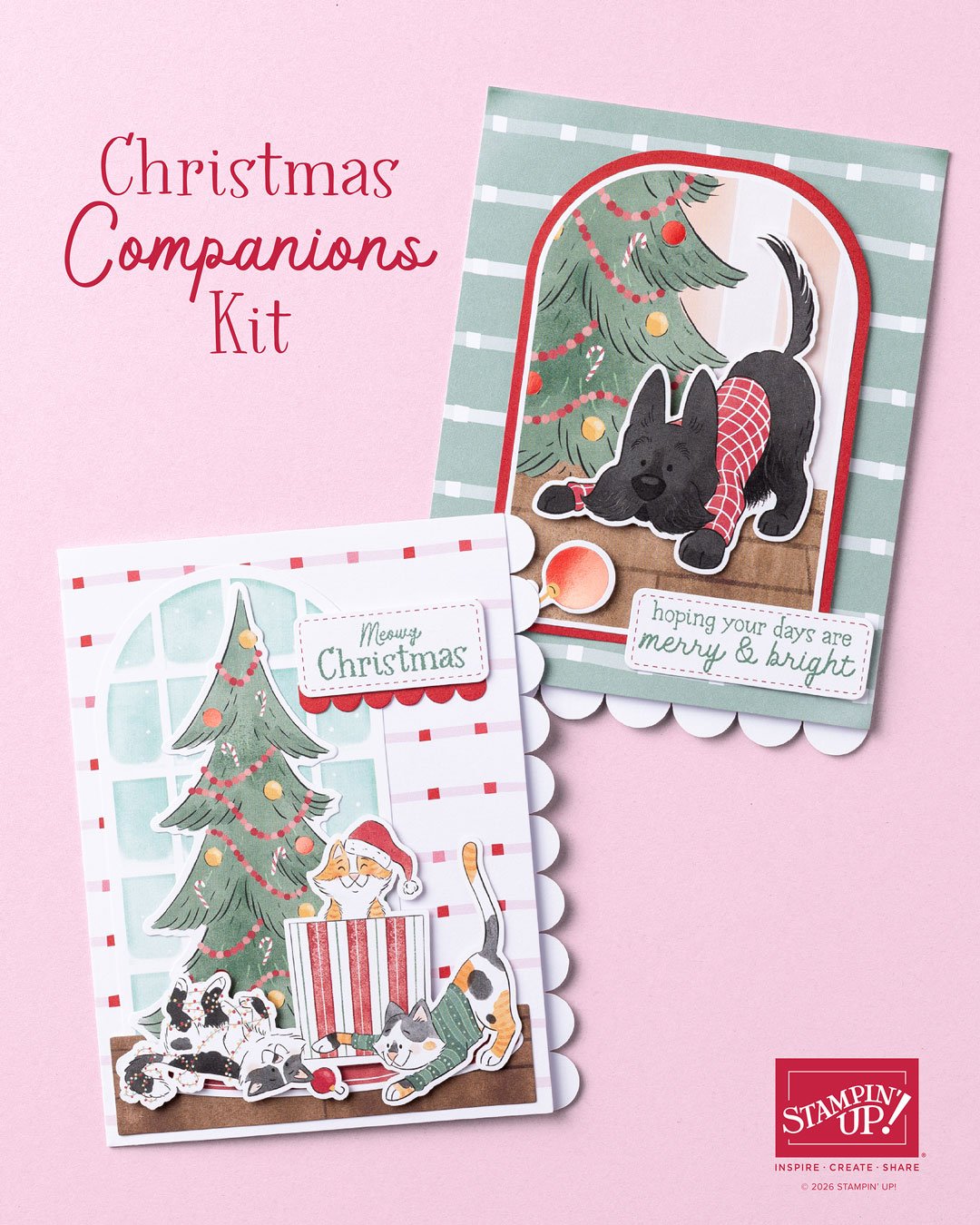 Meet the New Christmas Companions Kit