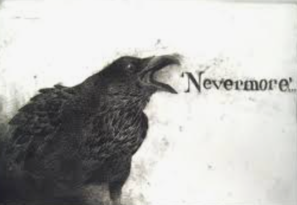 Intelligence of Ravens Gothic