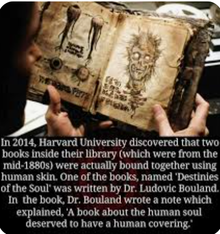 The Skin-Bound Tomes 