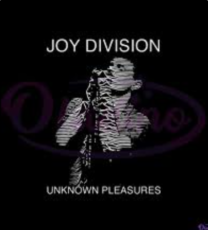 Joy Division