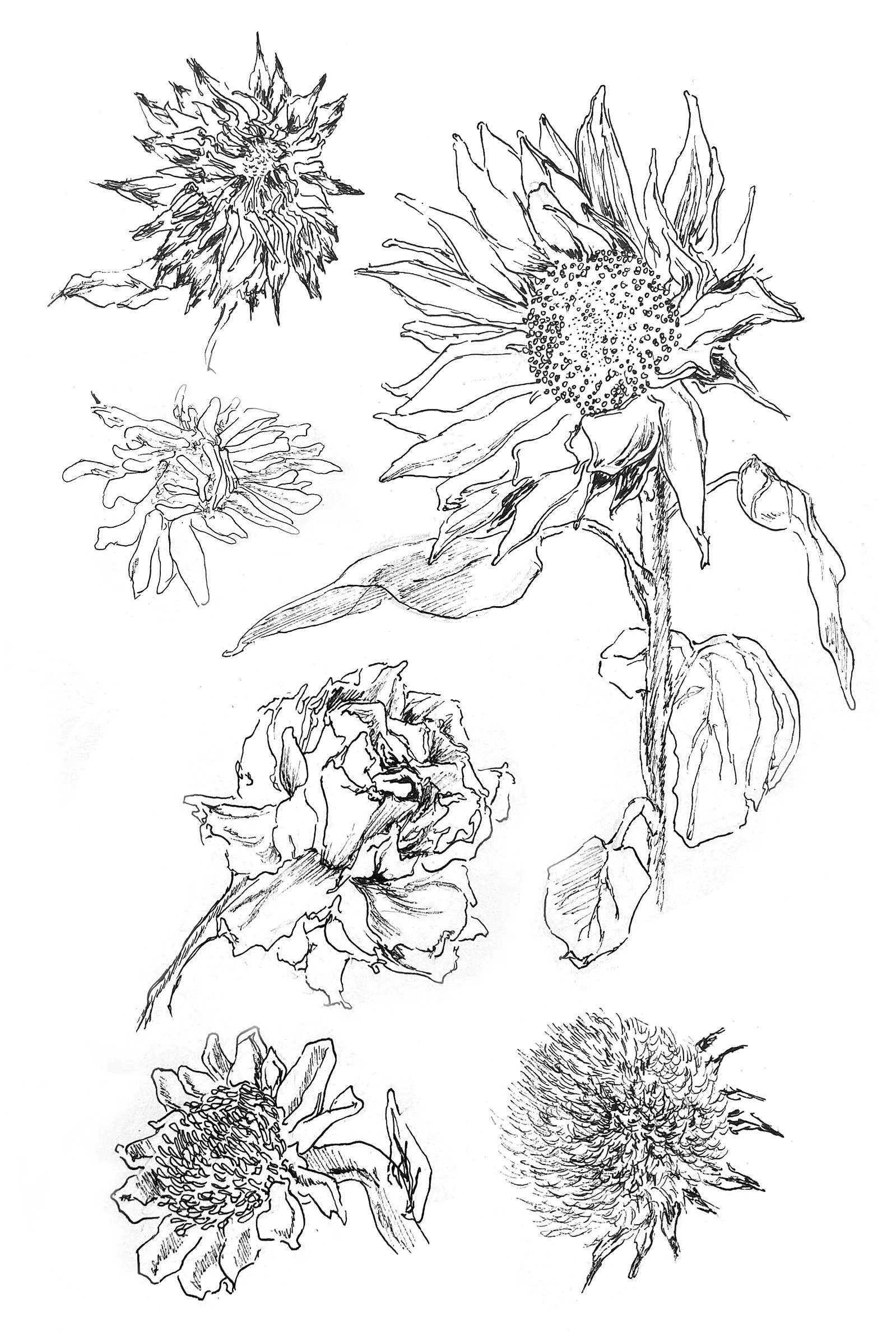 jpark13_sketchbook10.jpg