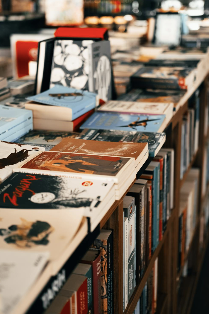 Books arranged on a shelf showing diverse titles.