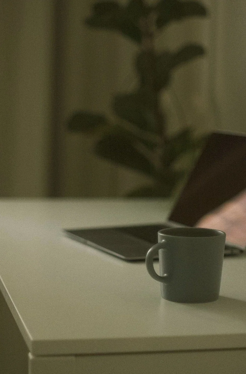 A cup and a laptop on a calm, clean desk, in muted green tones.