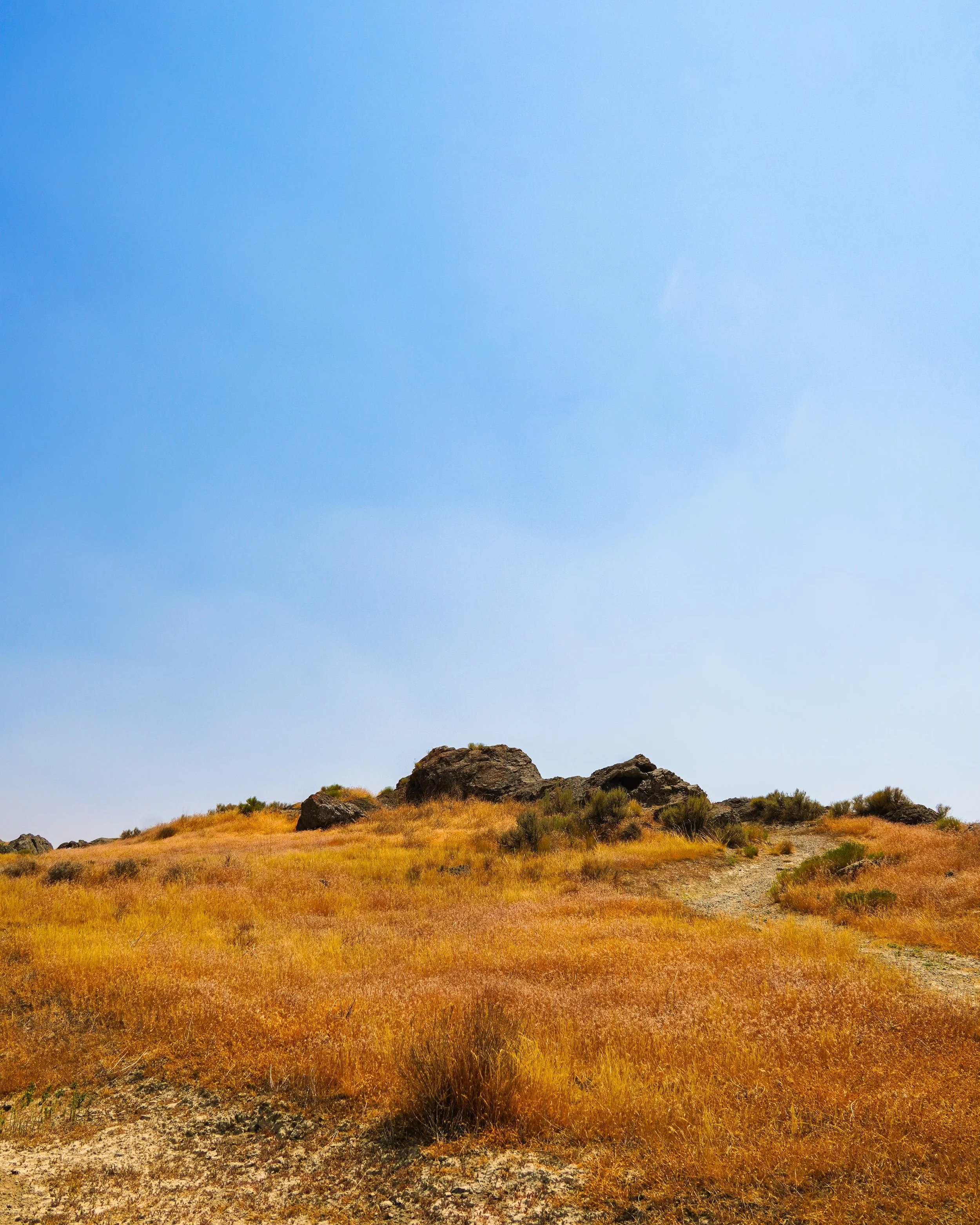 Desert landscape with yellow grasses, rocks on a hill, and a clear blue sky.