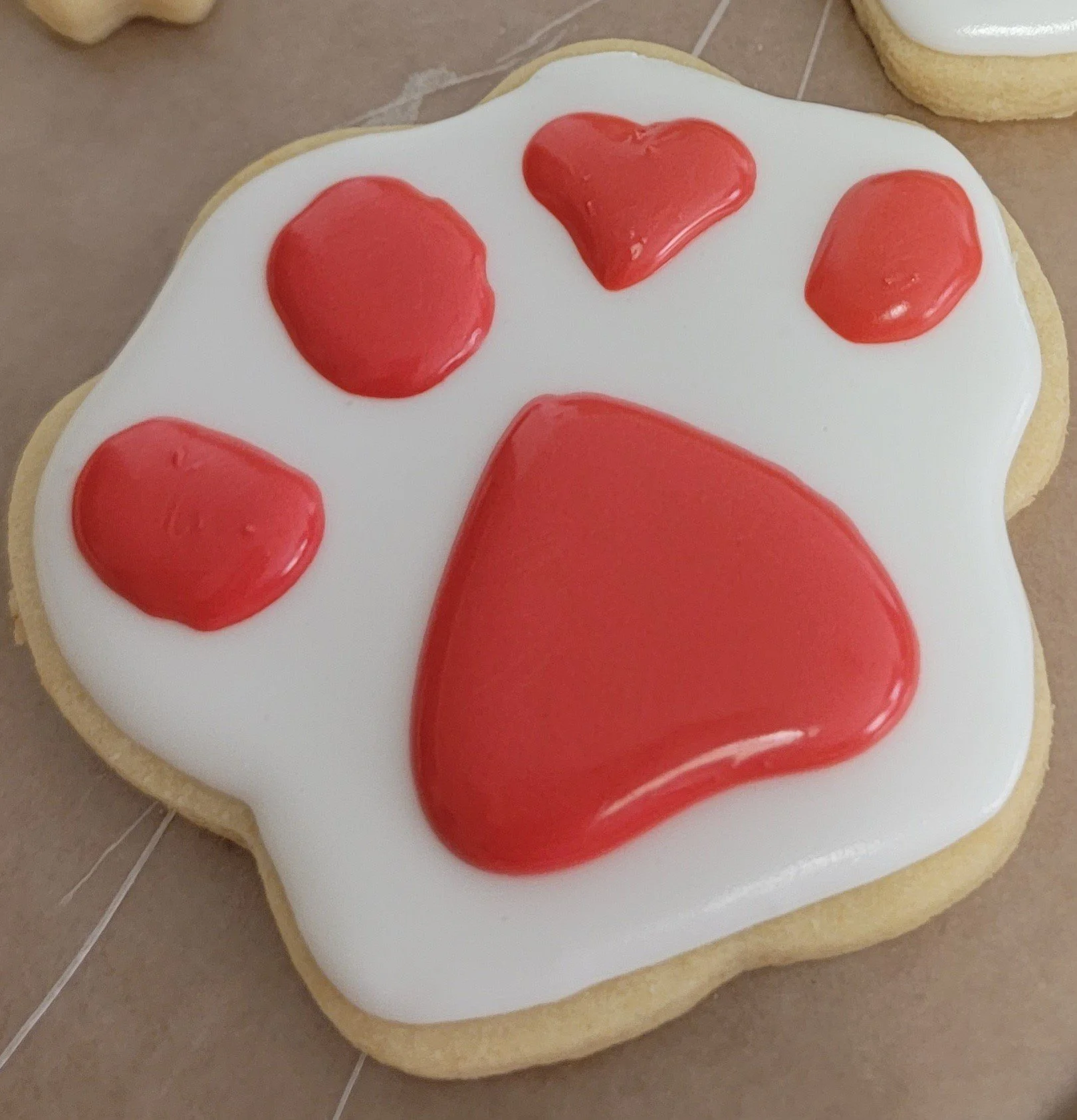 Paw Print.jpg