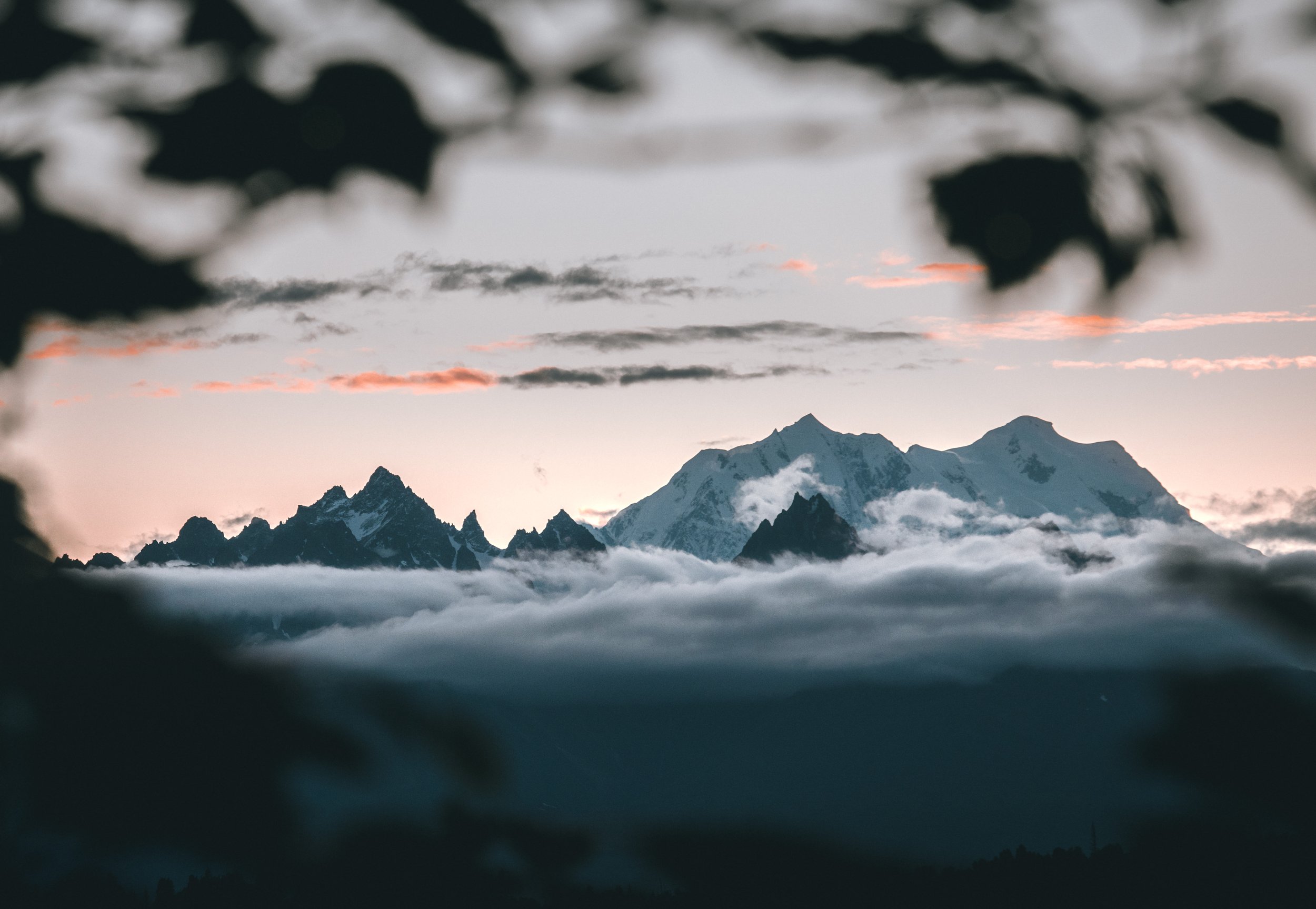 Tokoshas and Foraker by Twilight