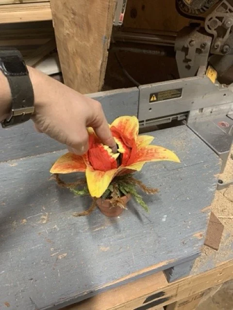 IMG_4571 Medium.jpeg