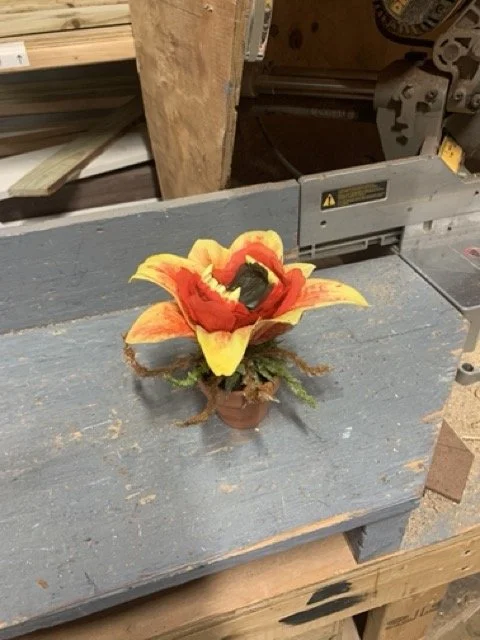 IMG_4568 Medium.jpeg